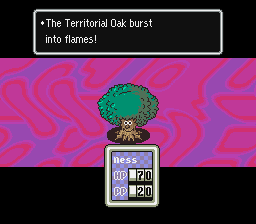 territorial oak